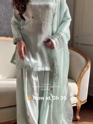 Pastel Mint Green Mirror Work Palazzo Suit Set – Now at Dh 35 Only